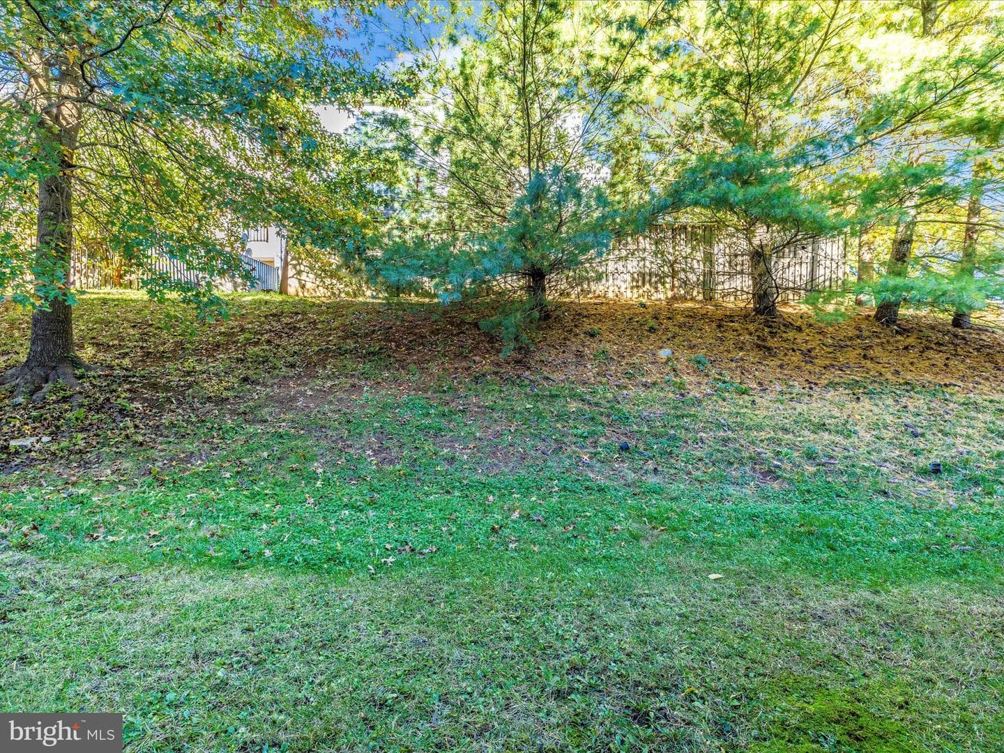 1003 Lavenport Way photo 51