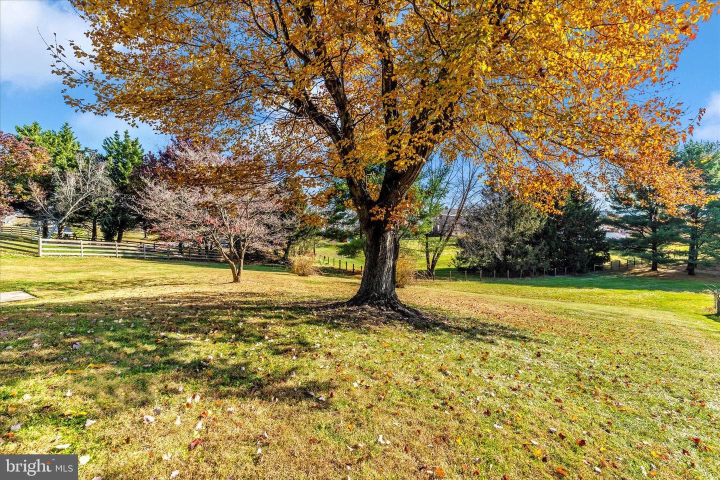 10255 Rollingridge Court photo 48