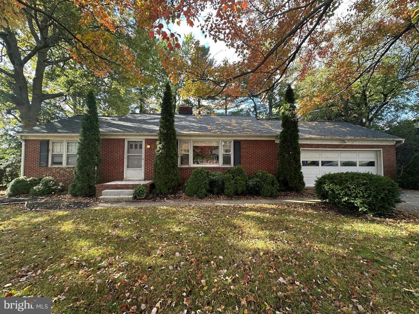 10 Linden Boulevard photo 1
