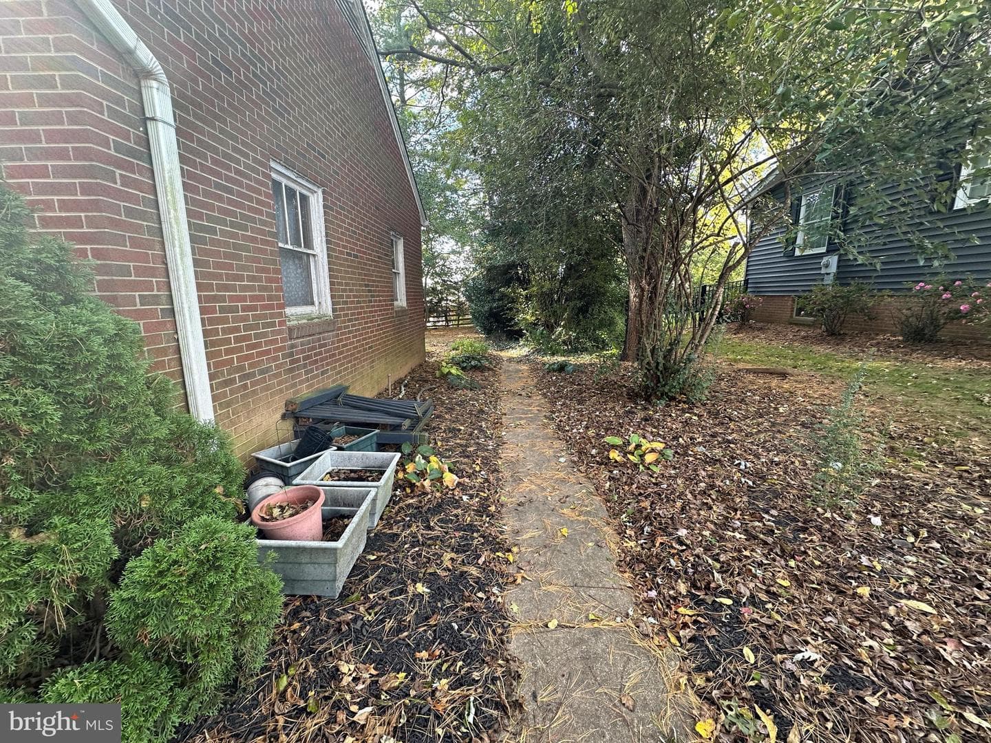 10 Linden Boulevard photo 24