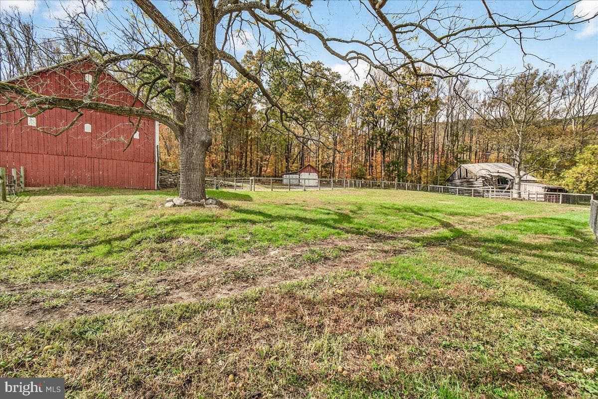 11804 Pleasant Walk Road photo 36