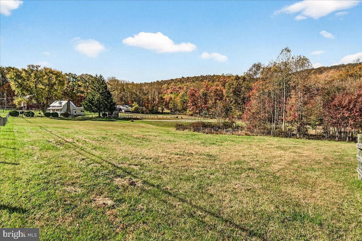 11804 Pleasant Walk Road photo 42