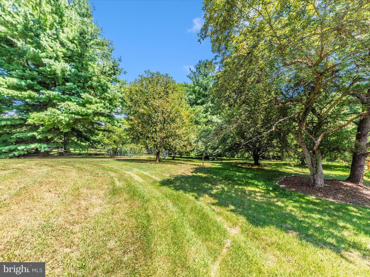 8395 Buckeye Court photo 47