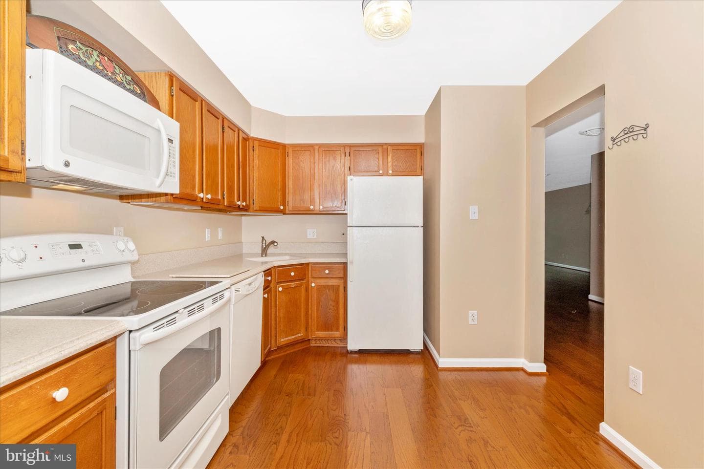 6905 Chokeberry Court photo 17