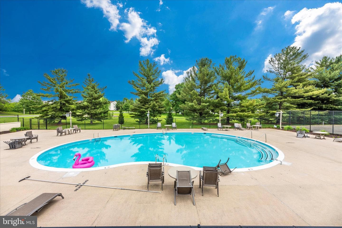 6905 Chokeberry Court photo 44