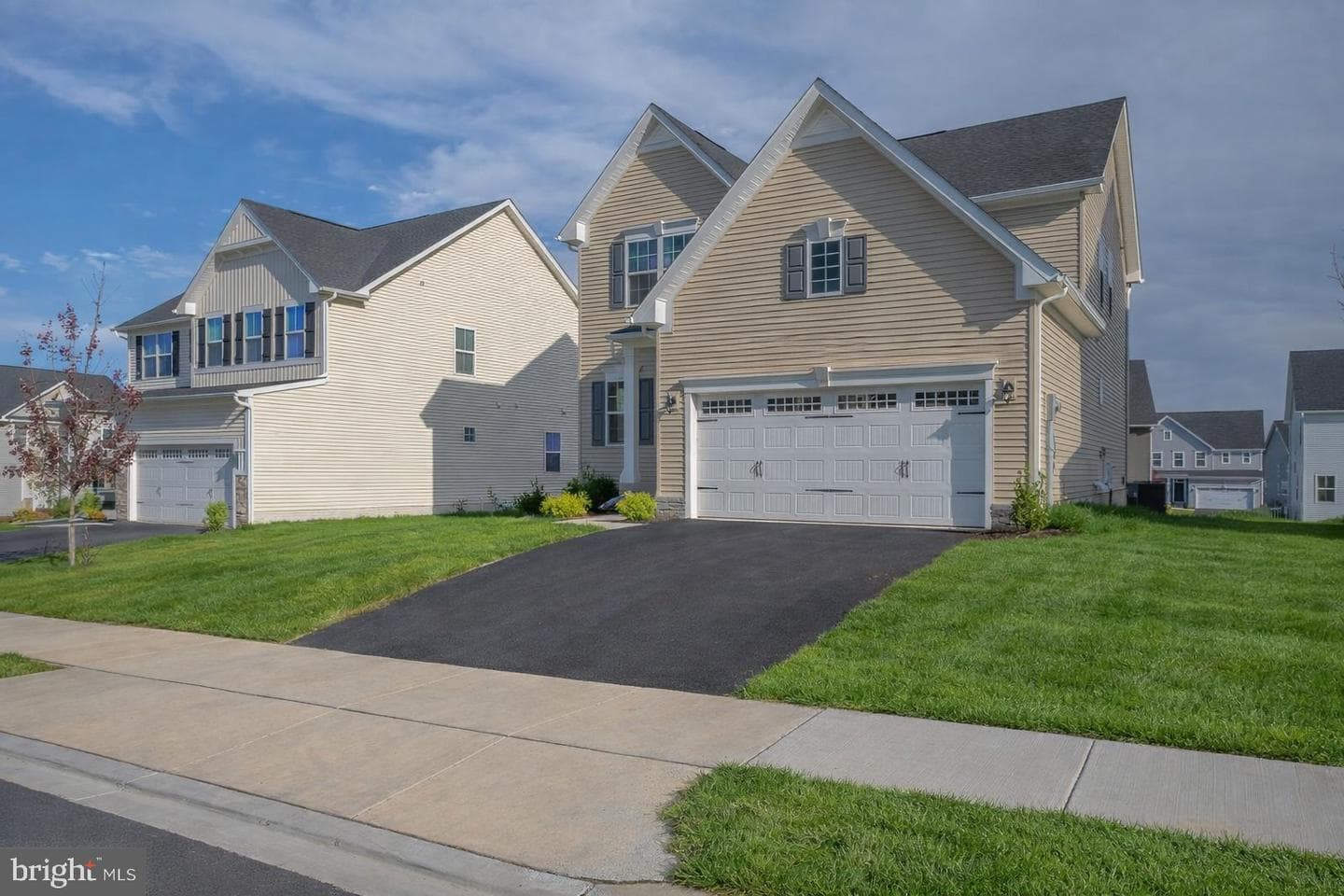 1268 Backbone Way photo 4