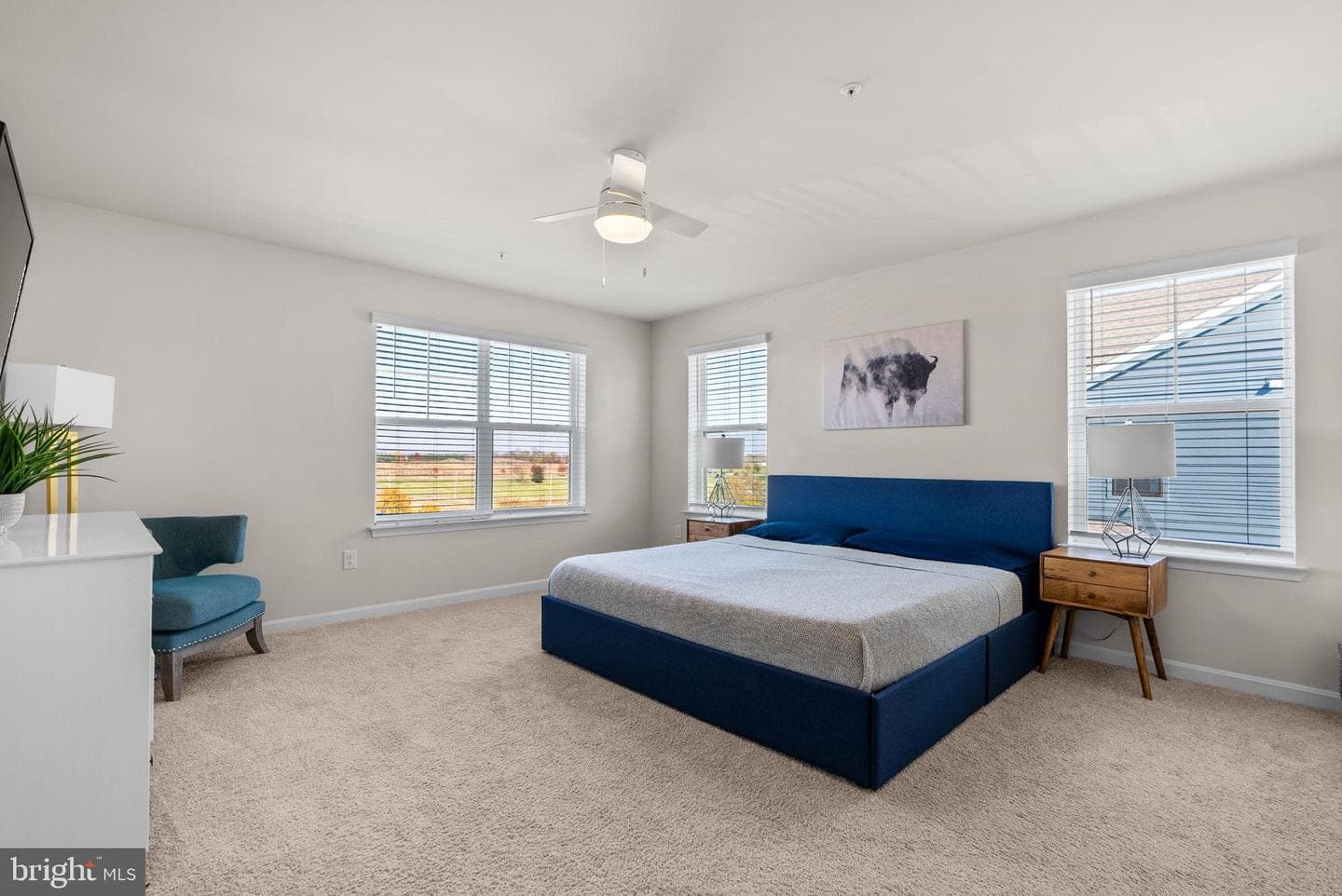 518 Carroll Walk Avenue photo 37