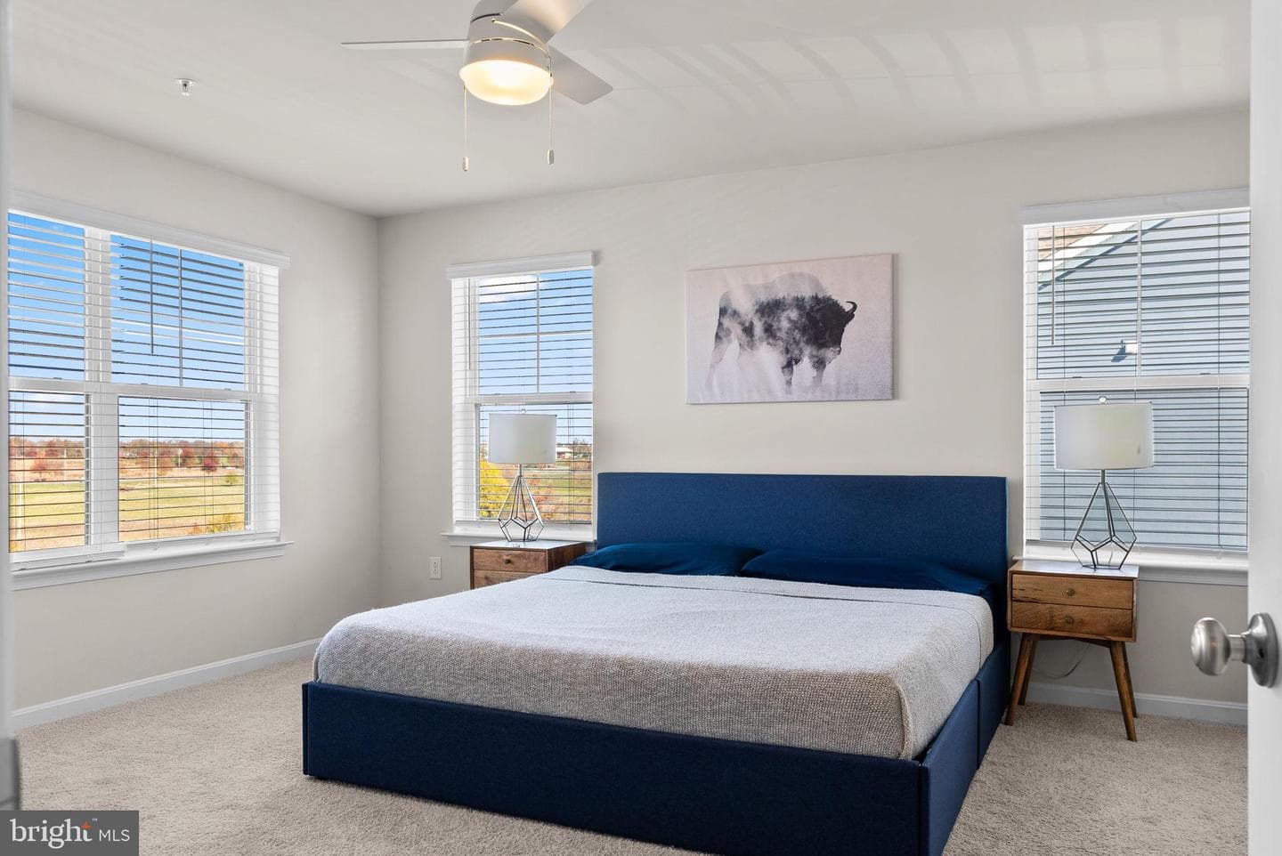 518 Carroll Walk Avenue photo 38