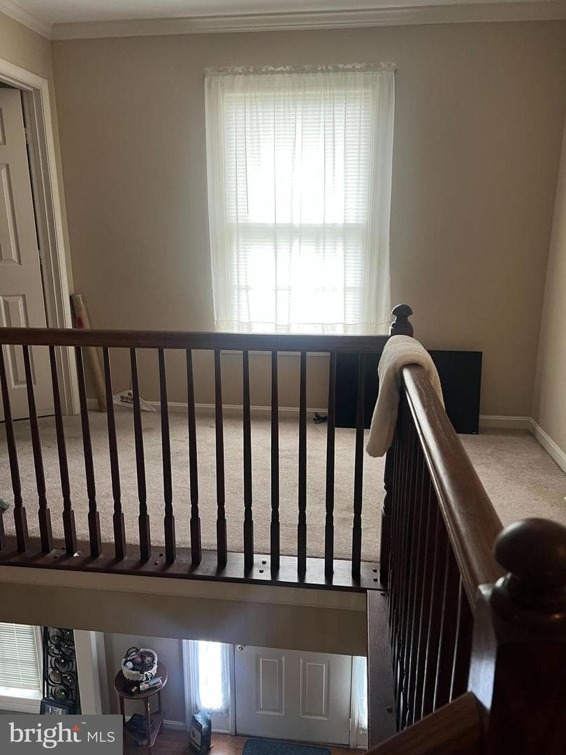 6107 Spring Meadow Lane photo 8