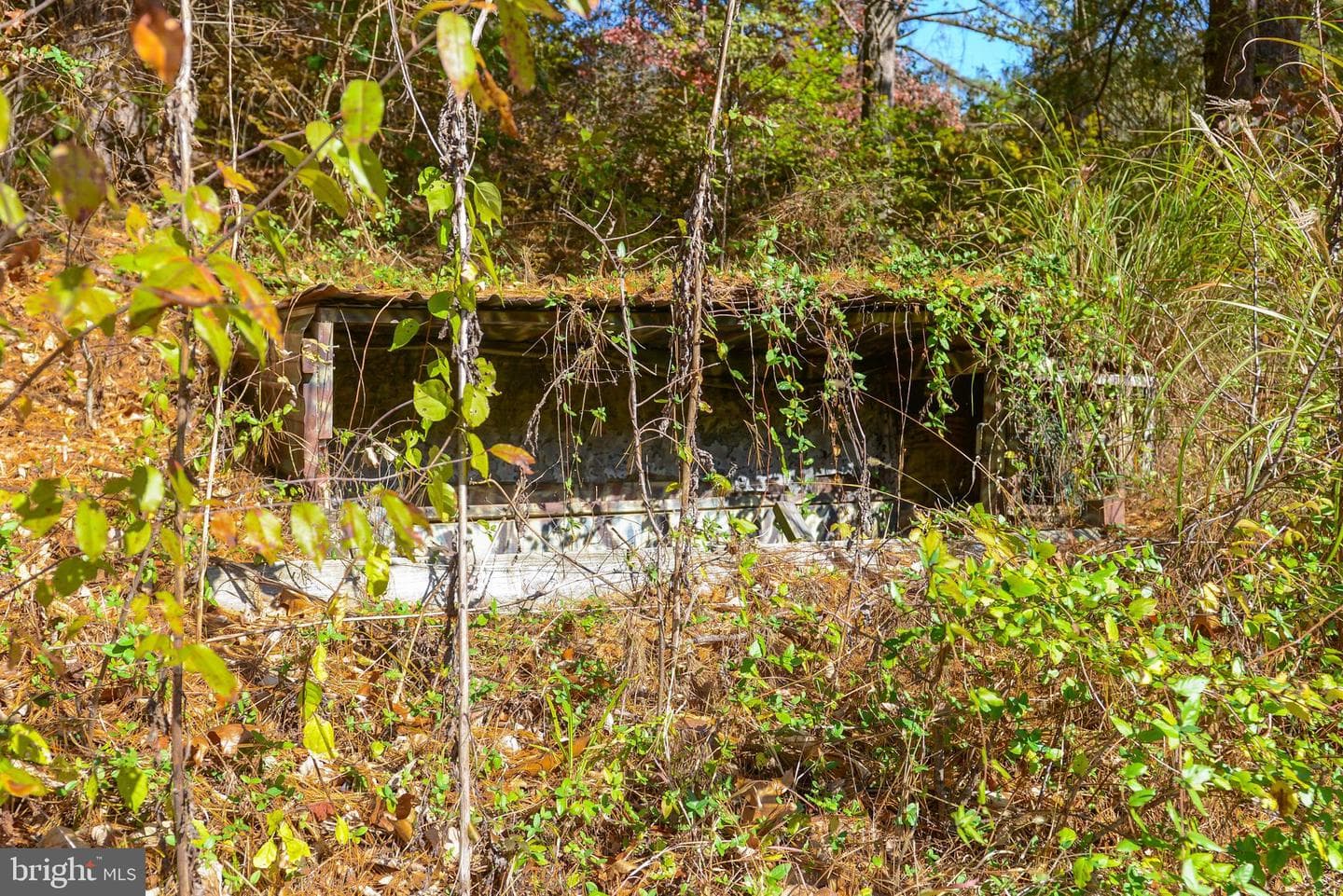 7144 Ira Sears Road photo 112