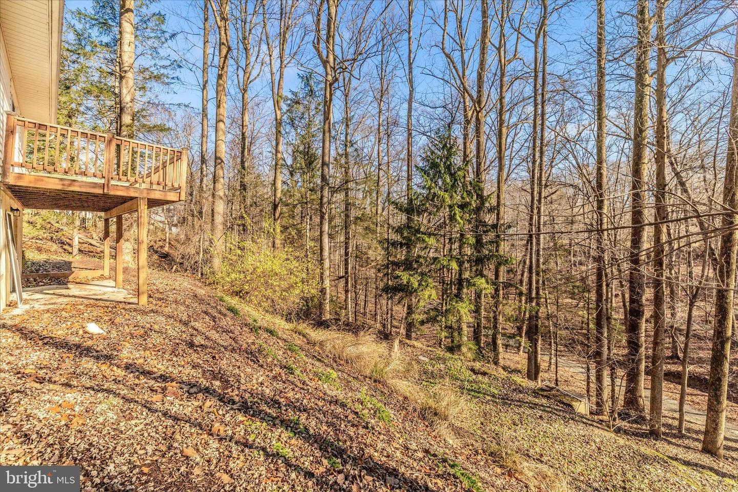 4297 Wendy Court photo 44