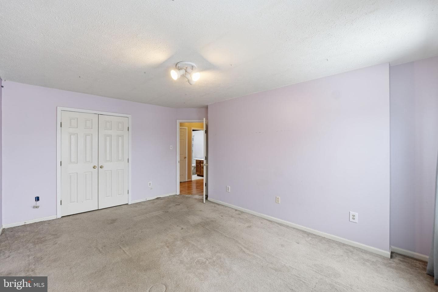 1008 Inkberry Way photo 19