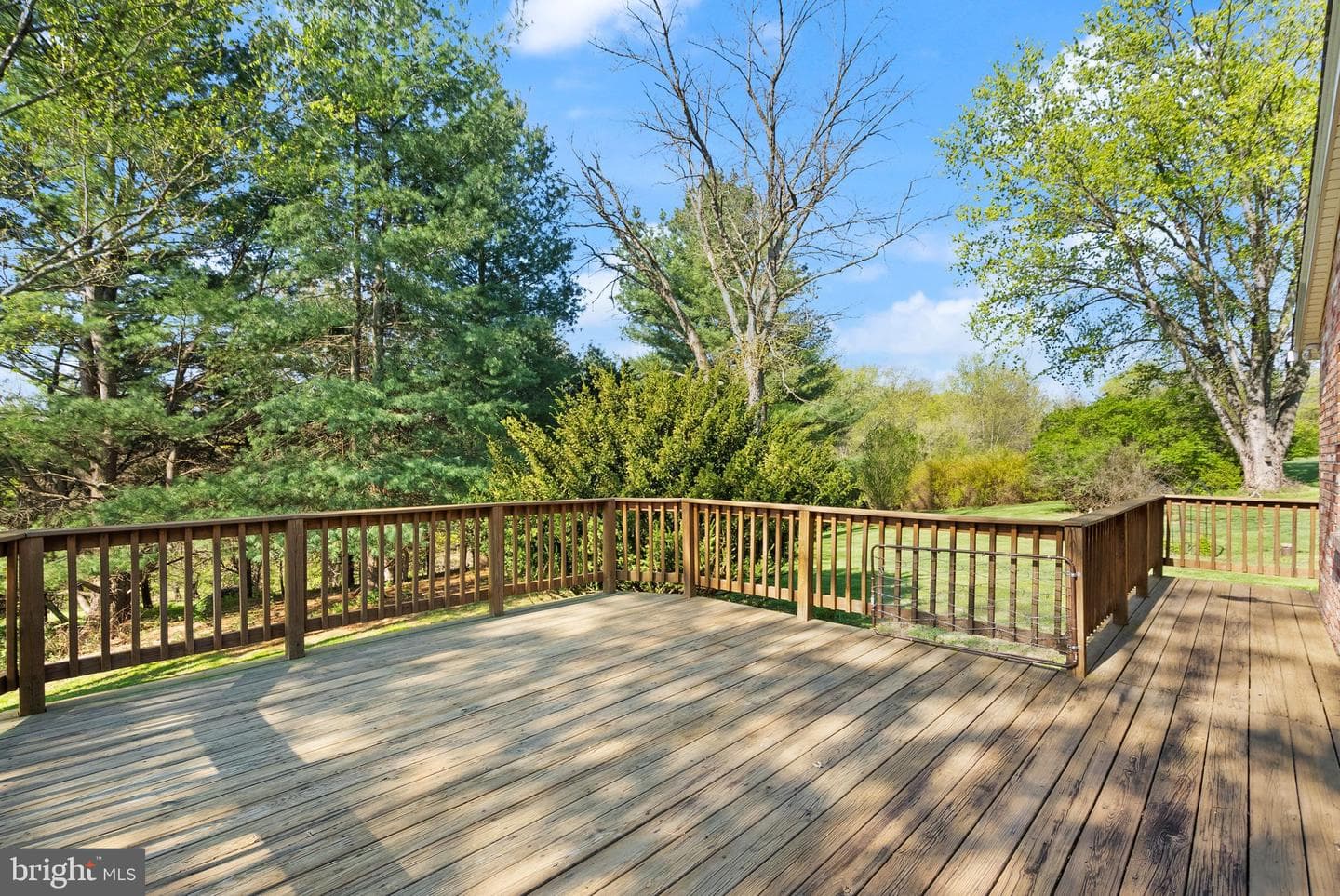 4106 Gene Hemp Road photo 7