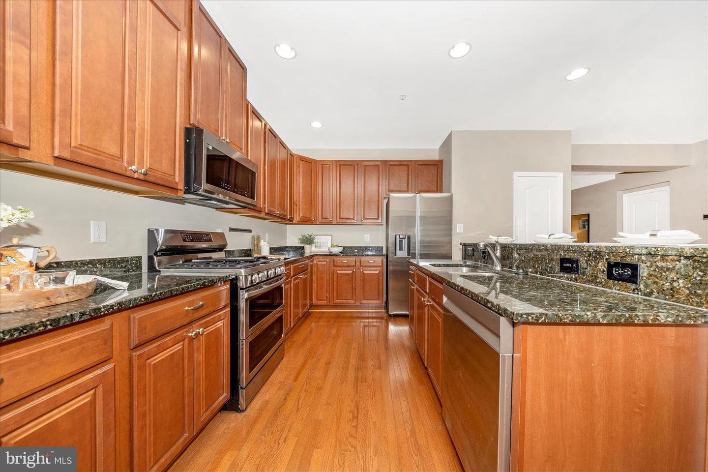 10228 Nuthatch Drive photo 19