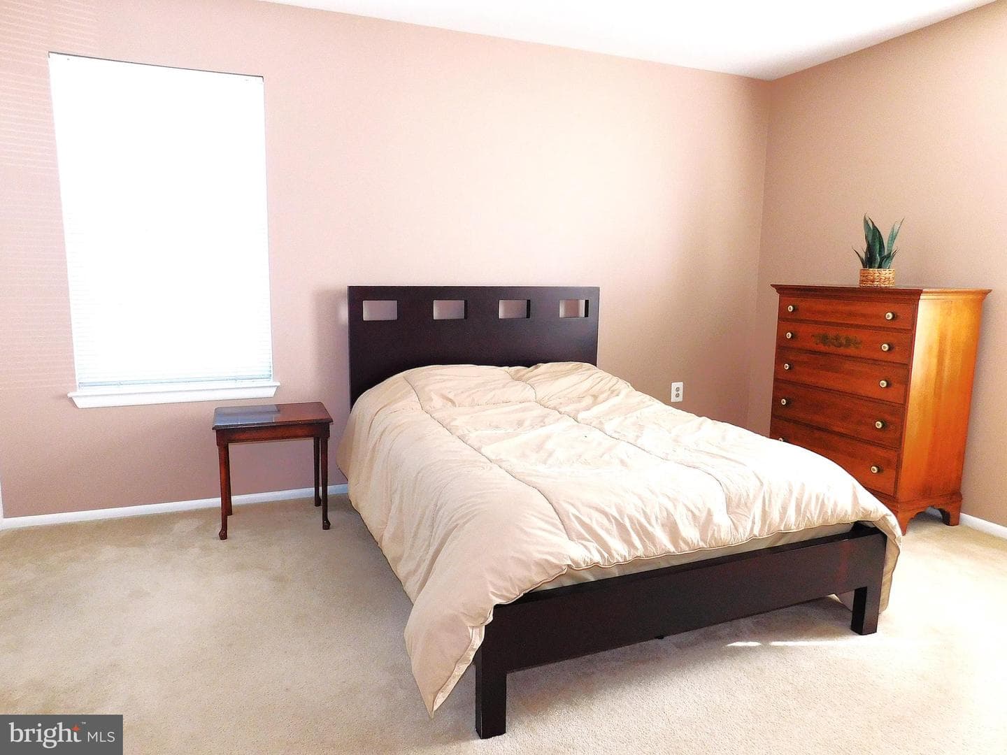 5640 Crabapple Drive photo 18