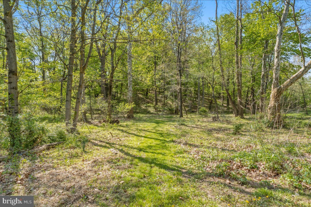 4389 Moleton Drive photo 55