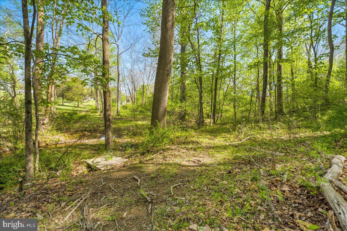 4389 Moleton Drive photo 58