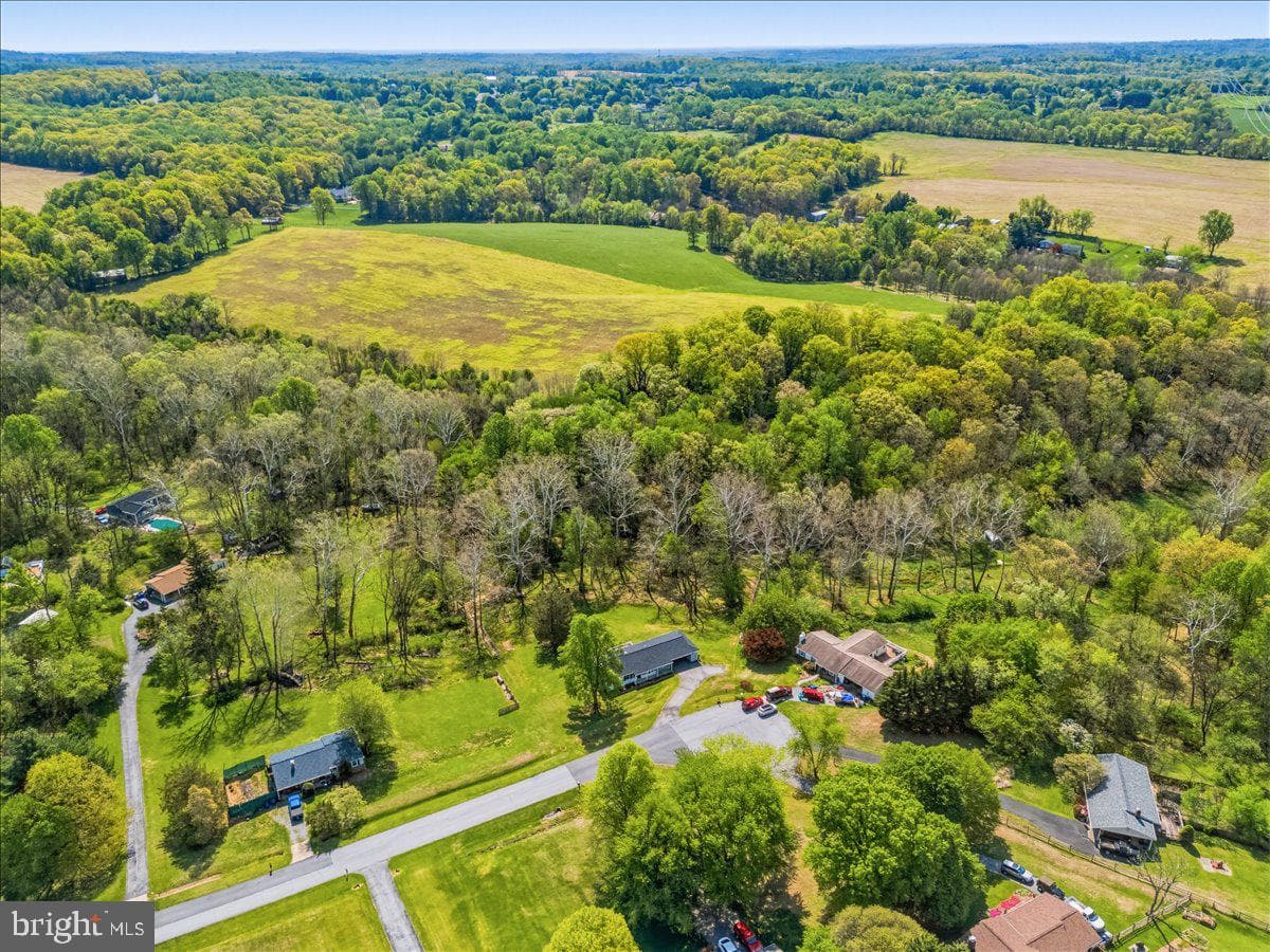 4389 Moleton Drive photo 61