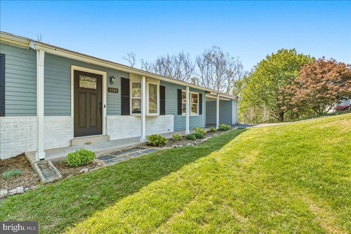 4389 Moleton Drive photo 74