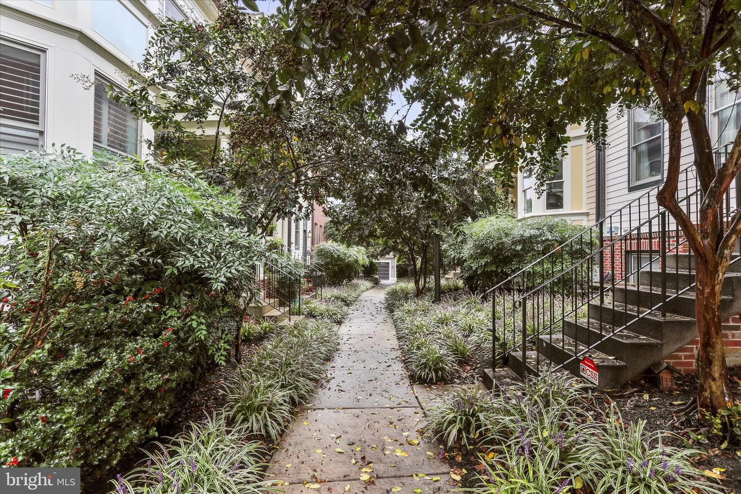 20 Maxwell Square photo 35