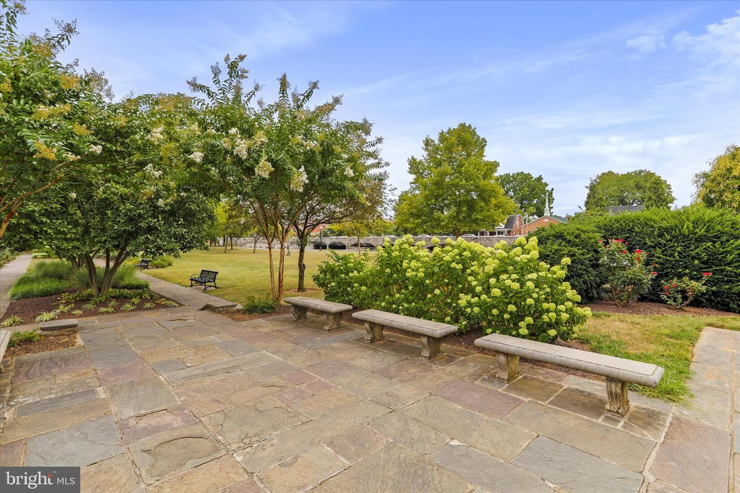 20 Maxwell Square photo 41