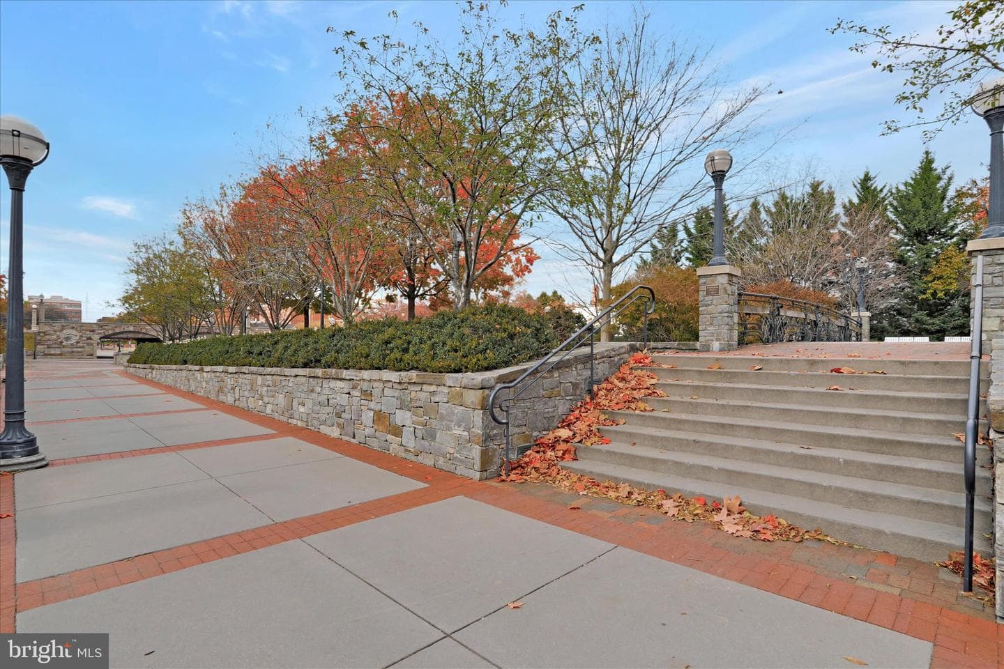 20 Maxwell Square photo 45