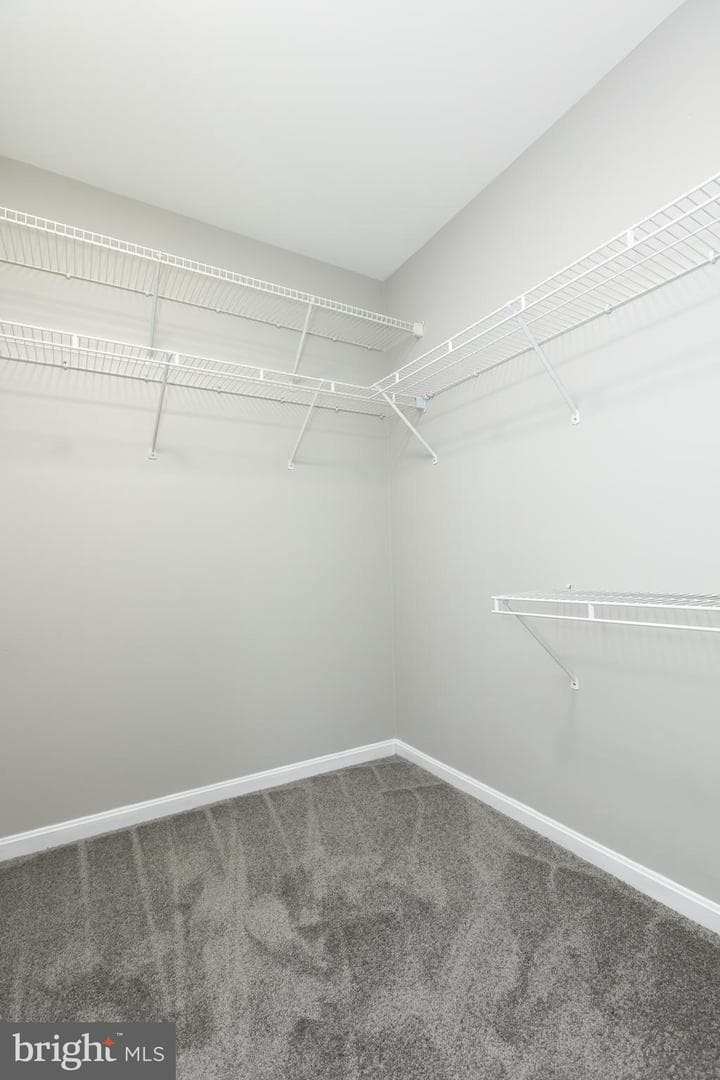 2607 Warren Way #4 3 photo 19