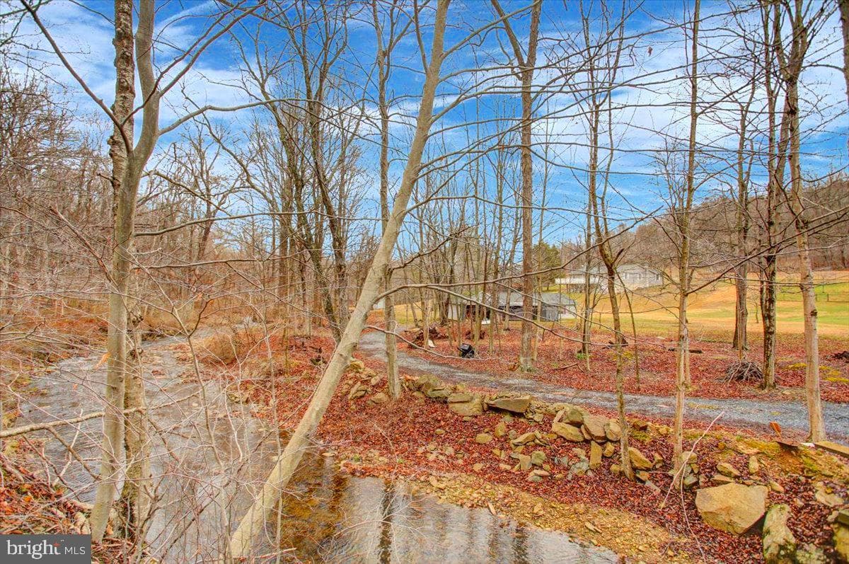 16024 Foxville Deerfield Road photo 5