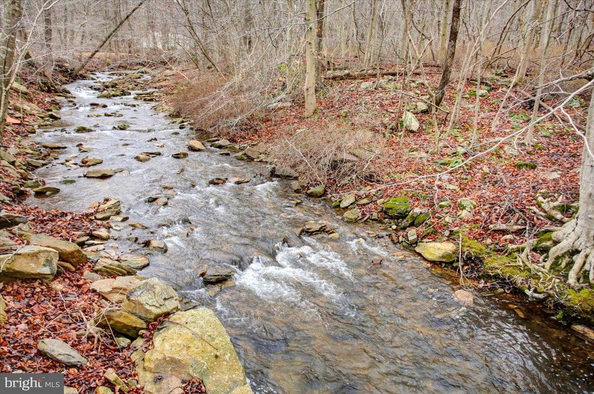 16024 Foxville Deerfield Road photo 6