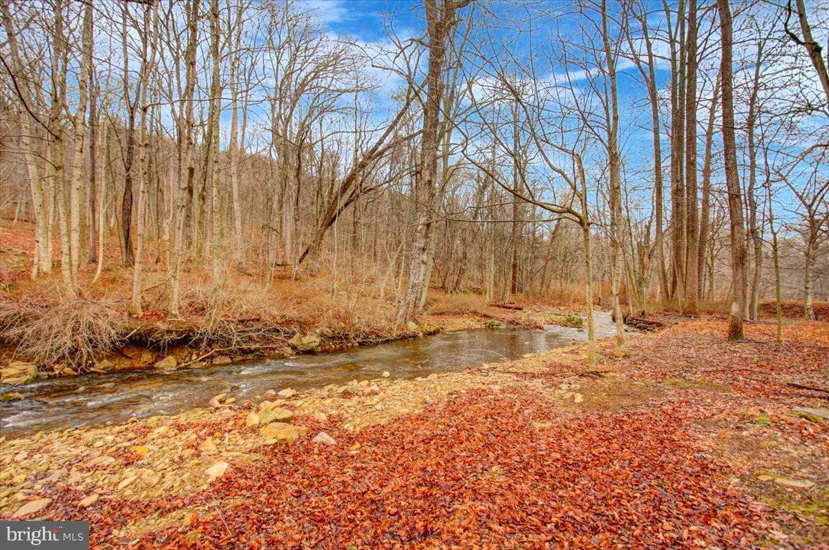 16024 Foxville Deerfield Road photo 70