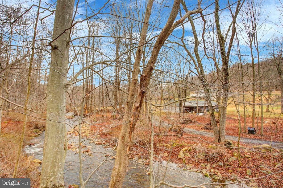 16024 Foxville Deerfield Road photo 72