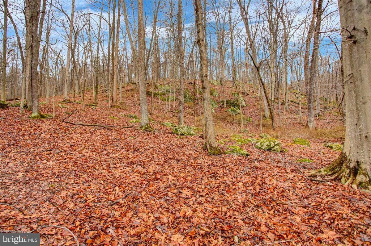 16024 Foxville Deerfield Road photo 74