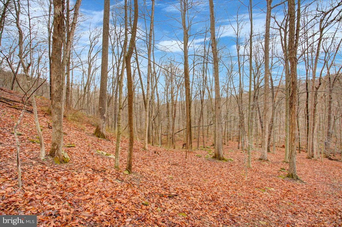 16024 Foxville Deerfield Road photo 75