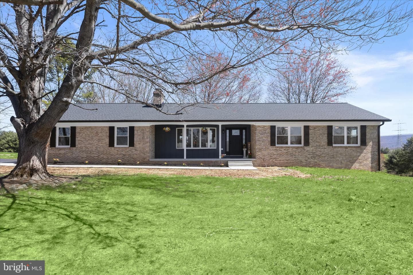 9079 Dawn Court photo 5