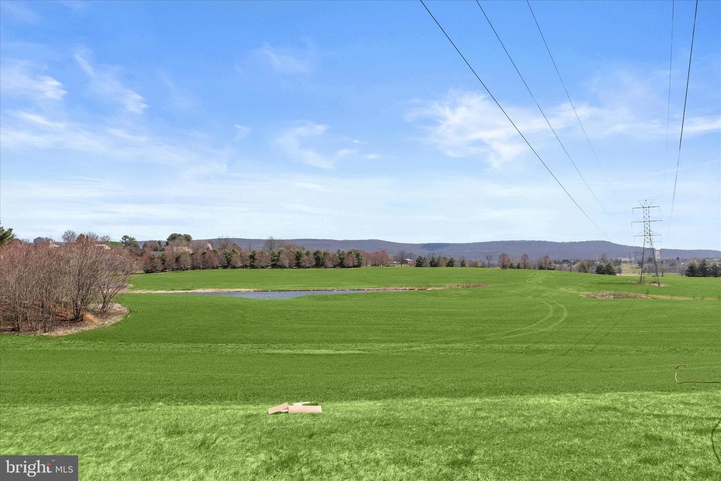9079 Dawn Court photo 57