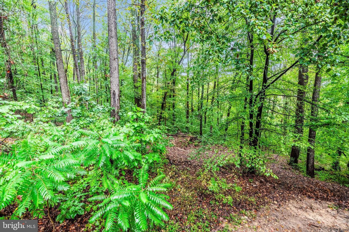 6838 Mountain Church Road photo 48