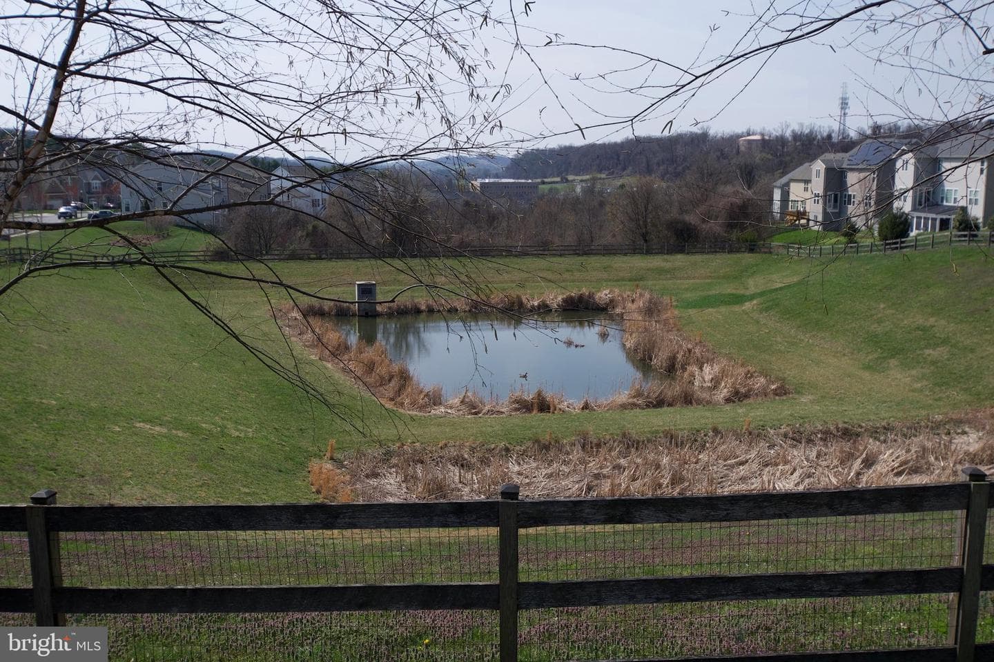 8514 Raptor Ridge Lane photo 48