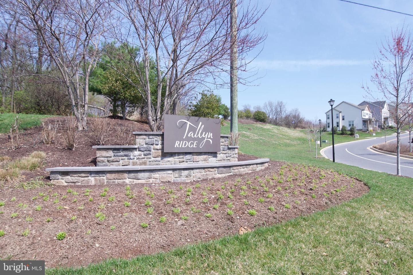 8514 Raptor Ridge Lane photo 52