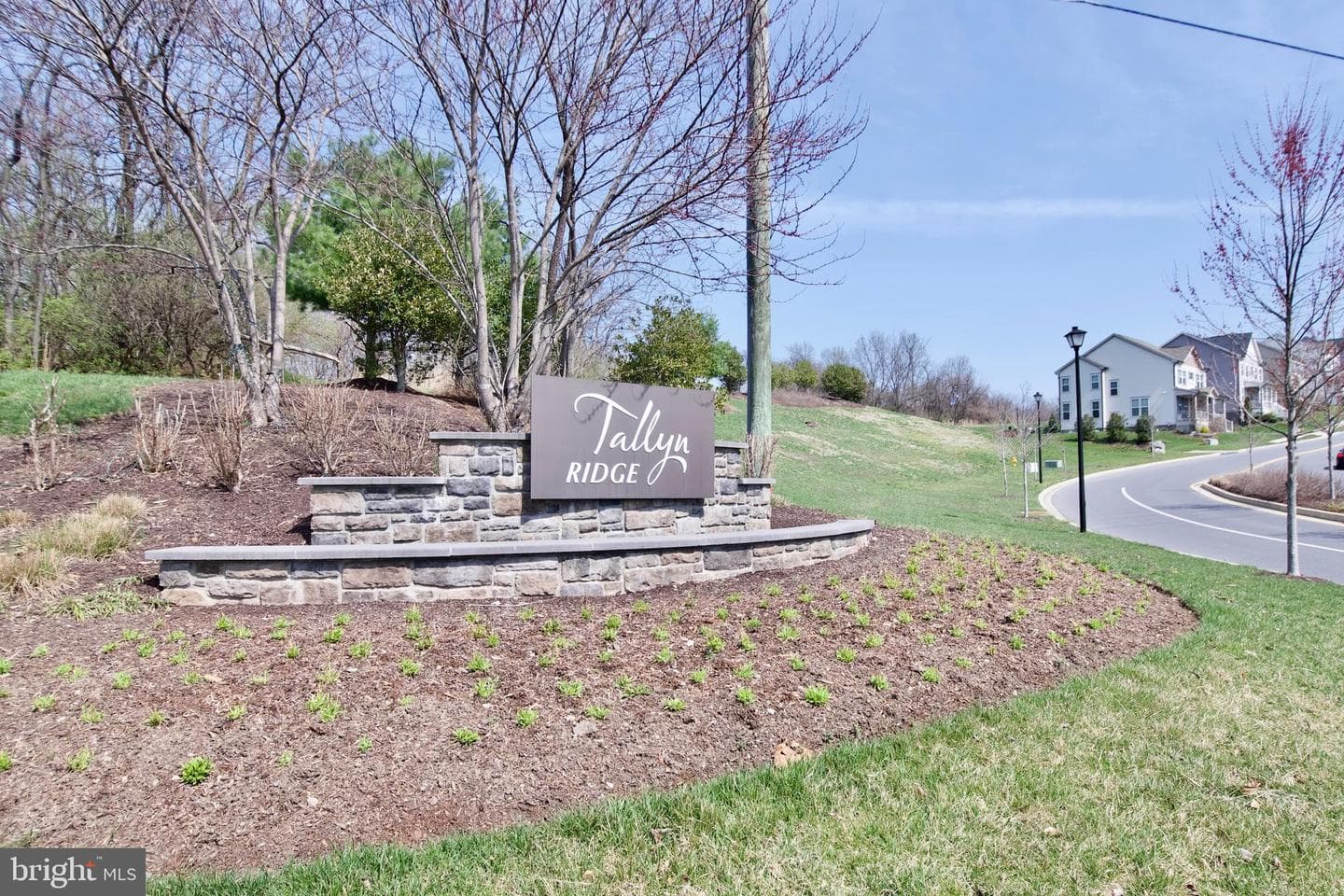 8514 Raptor Ridge Lane photo 53