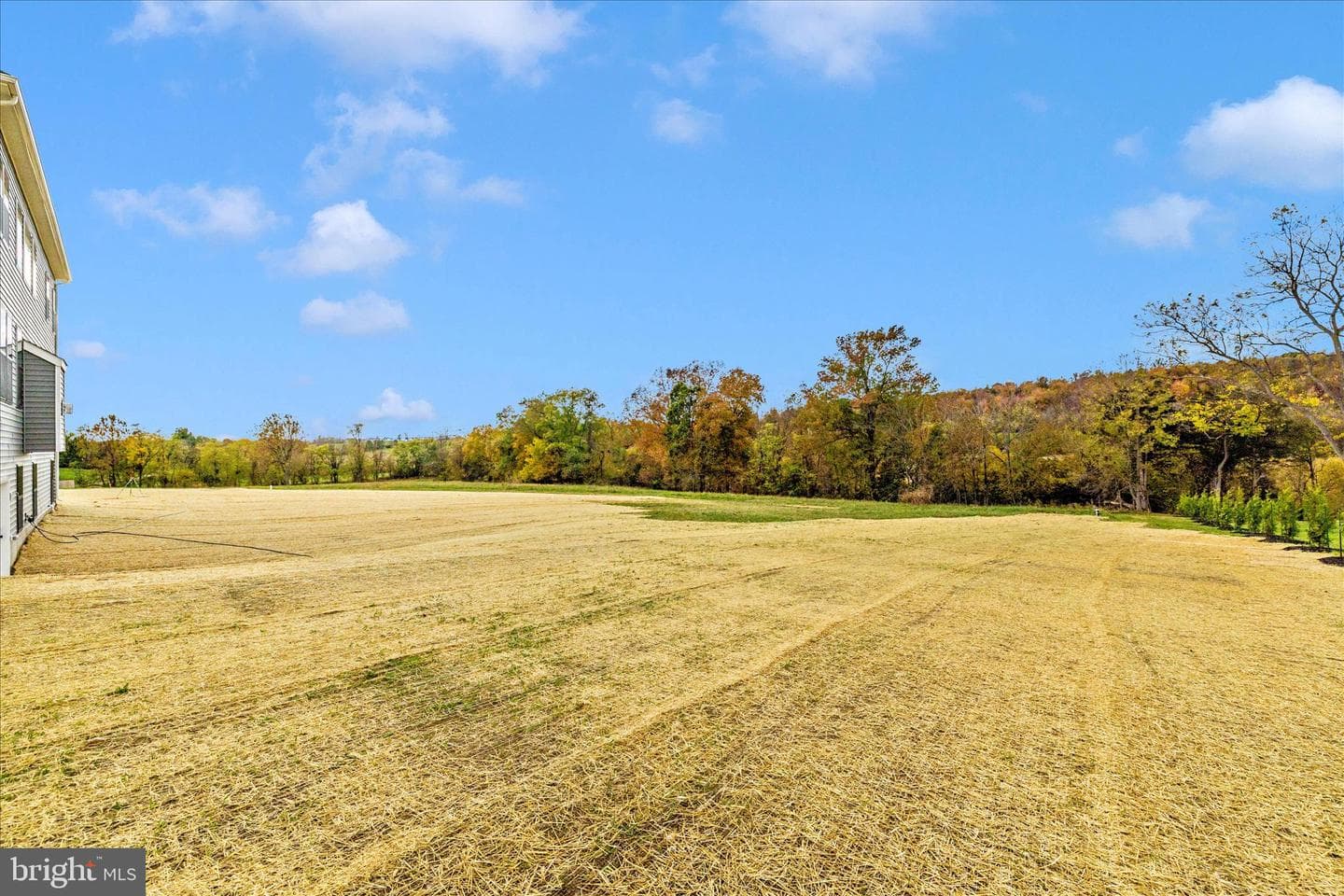 10242 Daysville Road photo 42
