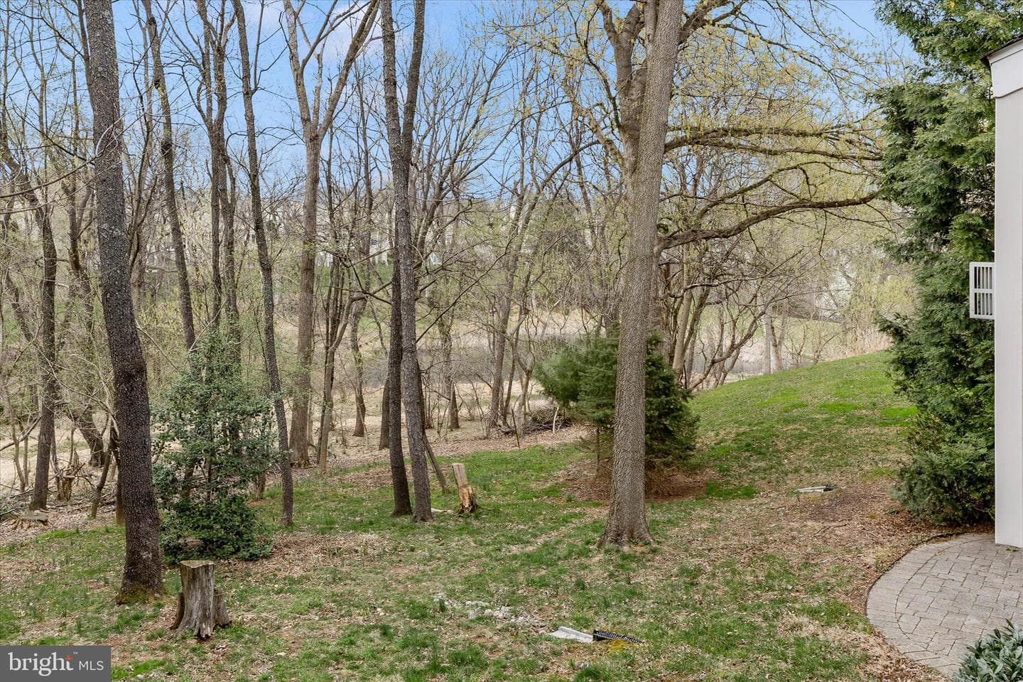 9102 Travener Circle photo 13