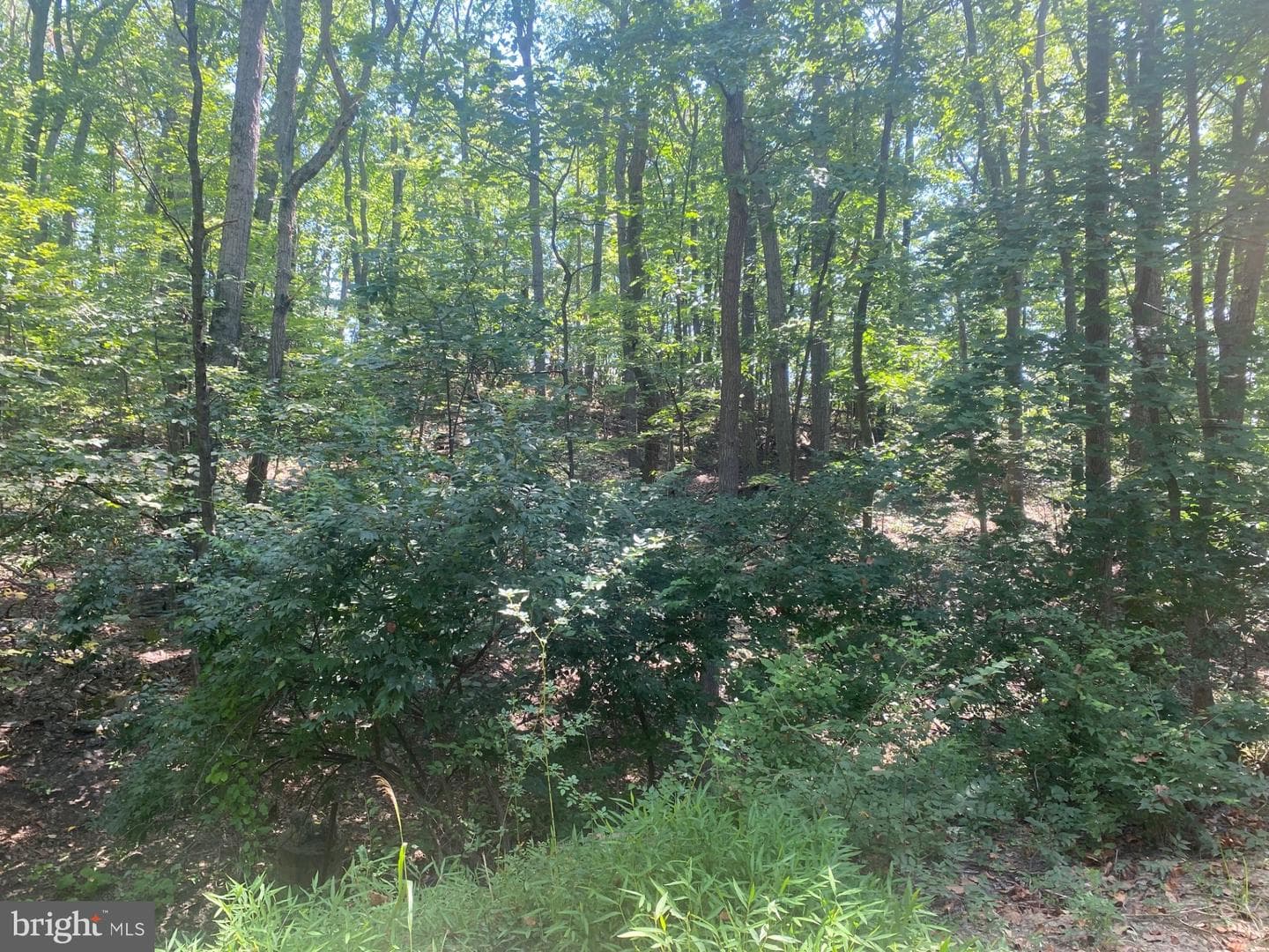 7125 Edgemont Road photo 25