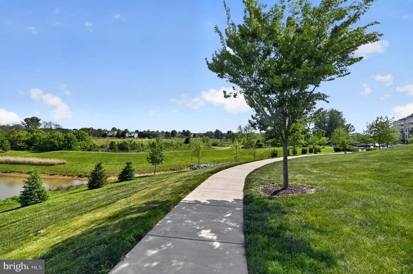 6638 Ballenger Run Boulevard photo 29
