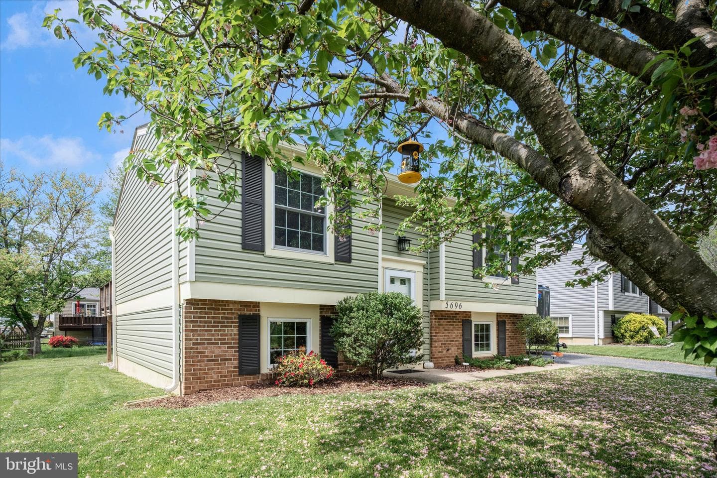 5696 Pebble Drive photo 3