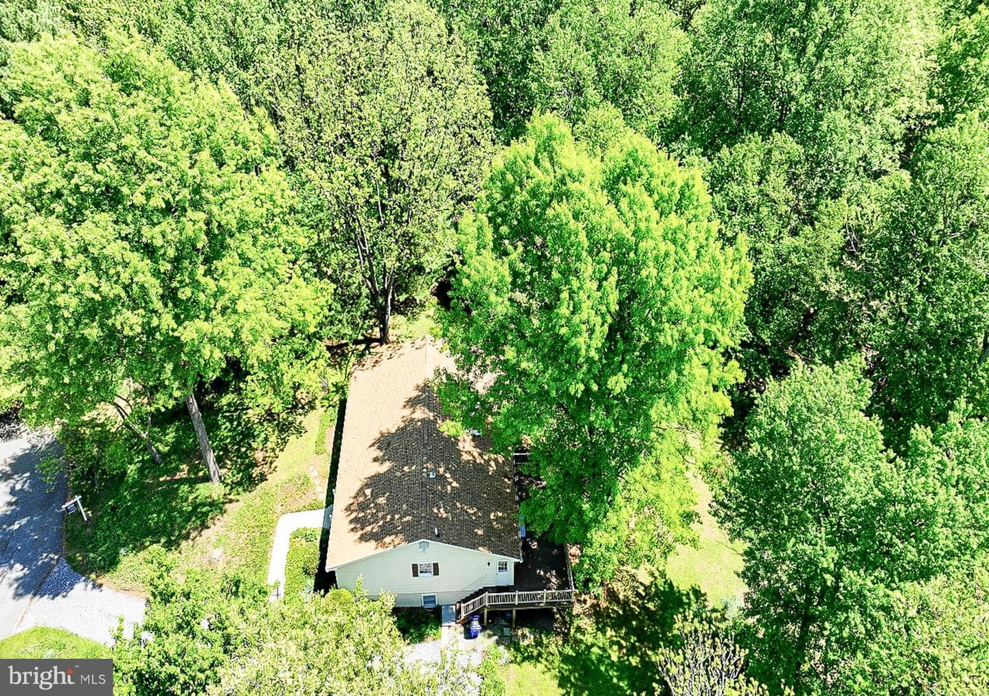 15601 Wildrose Court photo 9