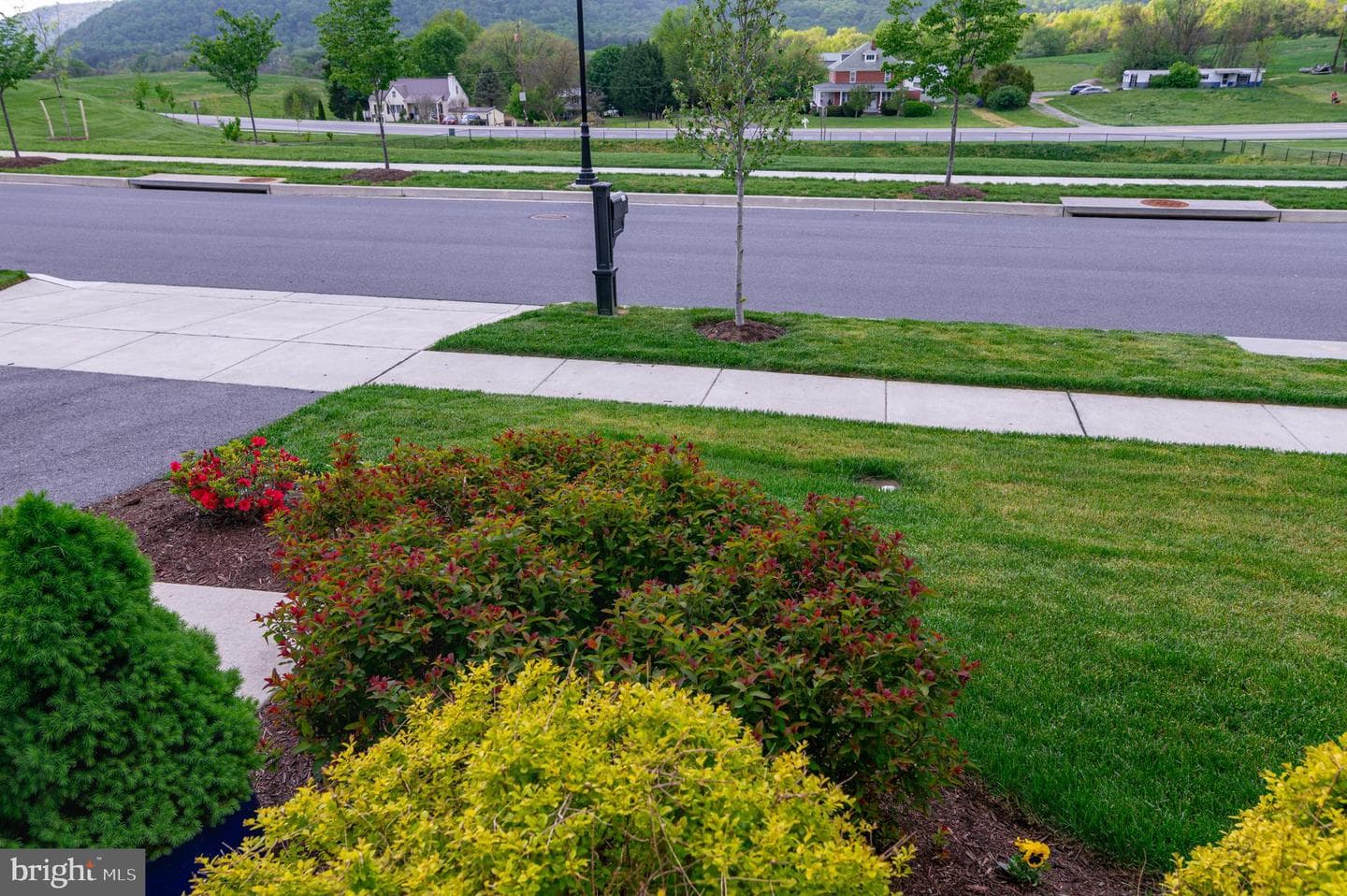 1004 Village Green Way photo 69
