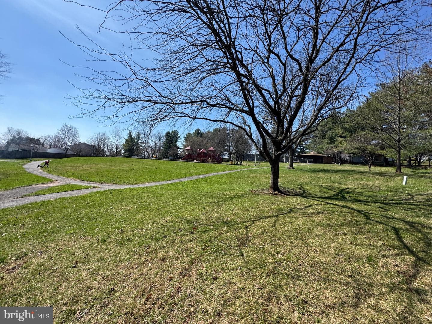 267 Longford Court photo 26