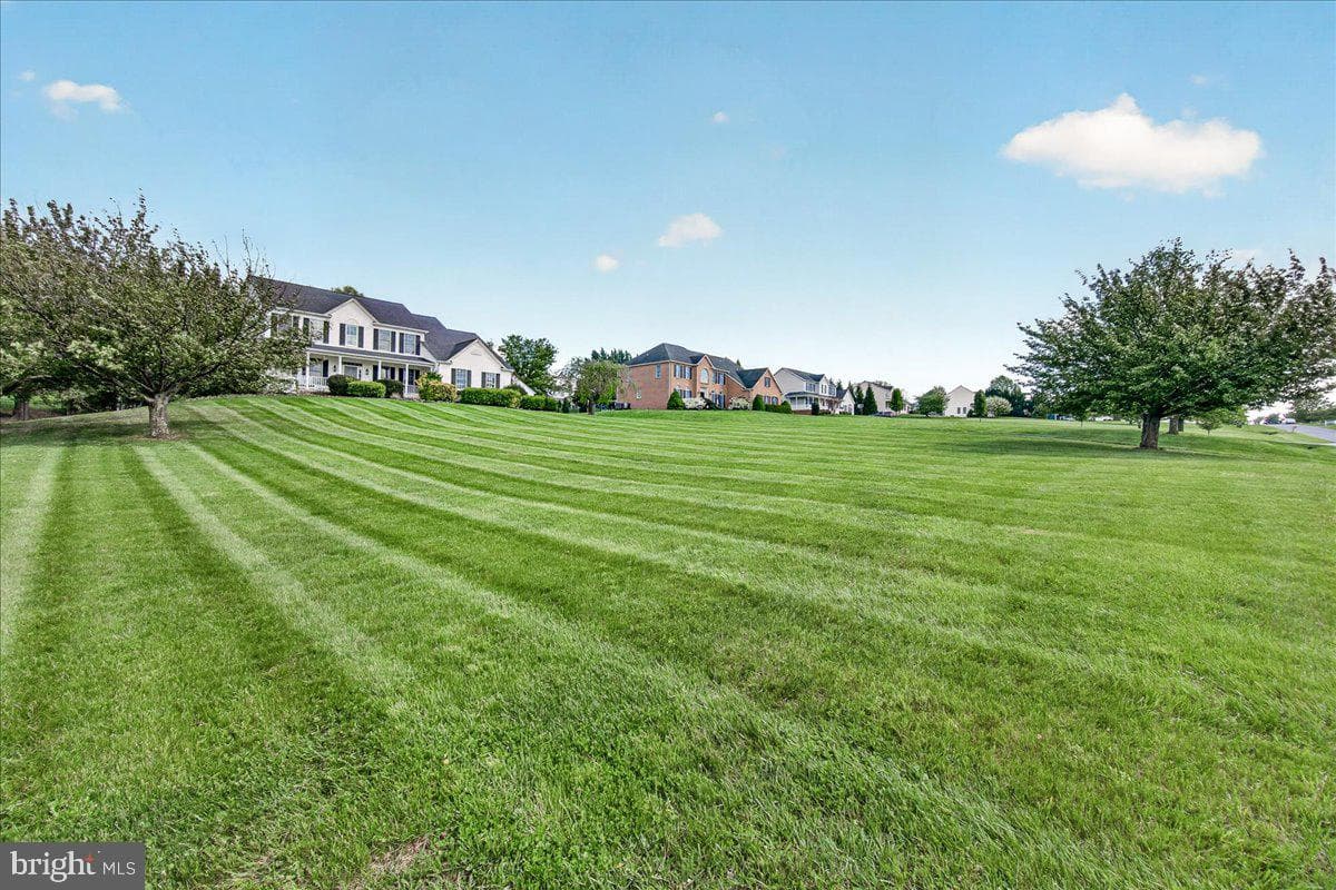 4813 Timber photo 73