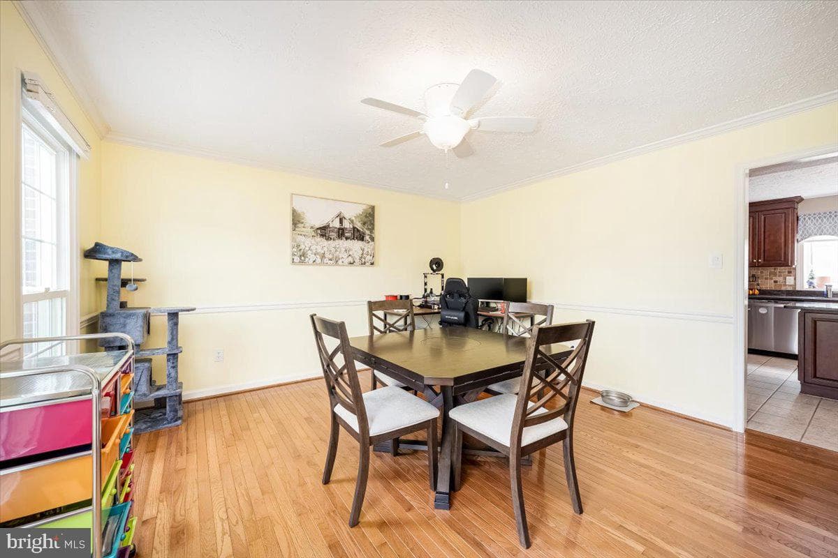 10651 Emmaline Drive photo 10