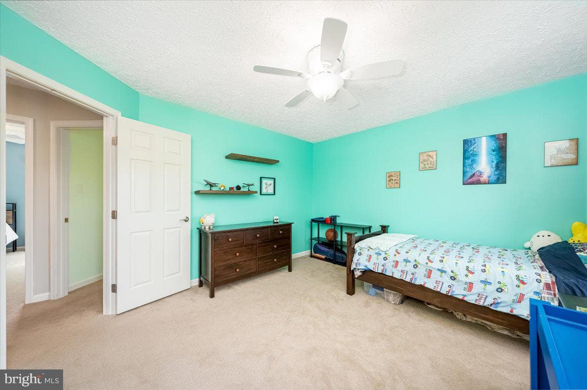 10651 Emmaline Drive photo 37